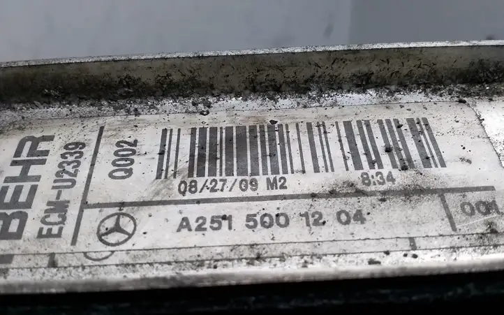 Mercedes-Benz ML W164 (2005 - 2011) A2515001204 Радиатор охлаждающей жидкости двигателя — фото 2