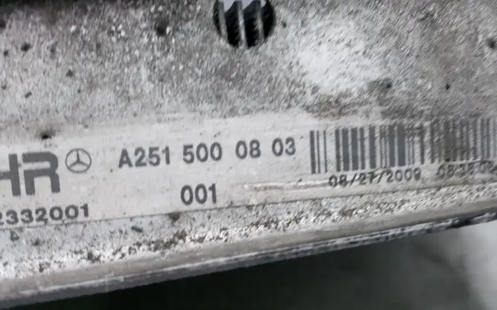 Mercedes-Benz ML W164 (2005 - 2011) A2515001204 Радиатор охлаждающей жидкости двигателя — фото 6