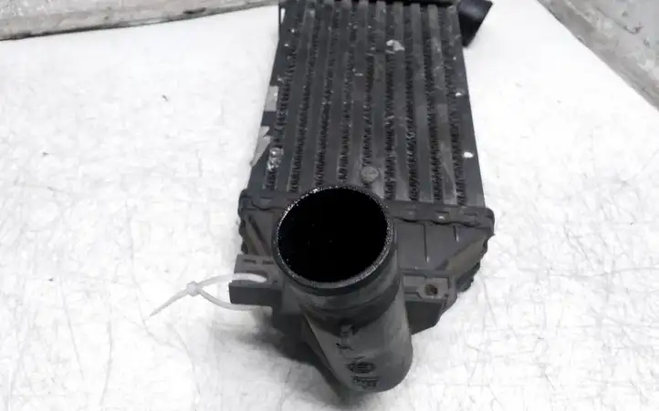 Opel Astra G (1998 - 2004) Интеркулер — фото 2