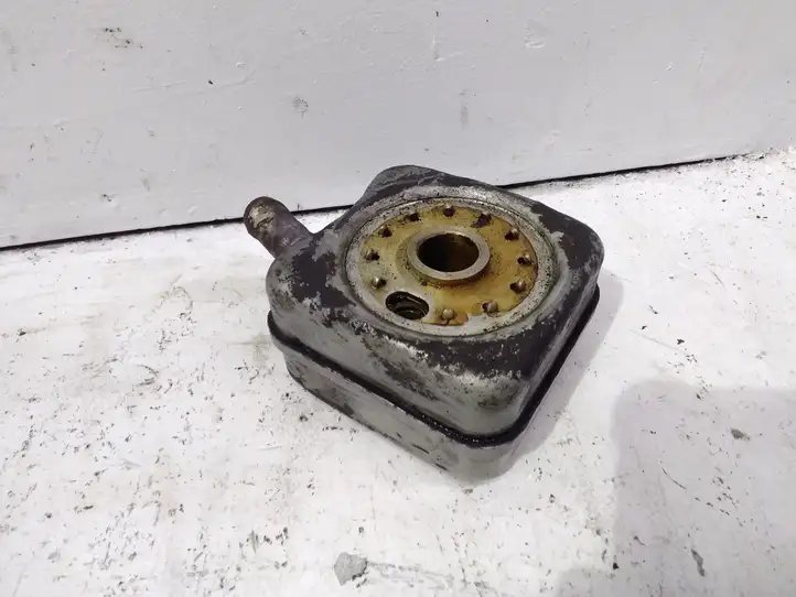 Audi A3/S3 8L (1996 - 2000) 028117021B Кронштейн масляного фильтра — фото 1