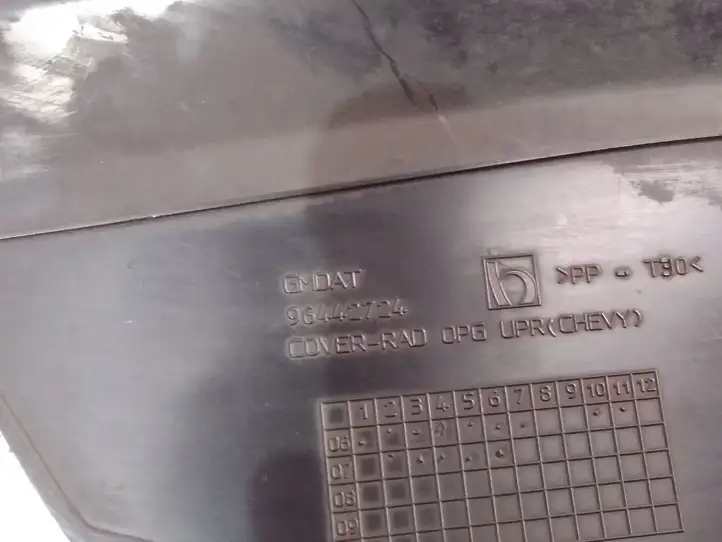 Chevrolet Captiva (2006 - 2011) 96442724 Облицовка радиатора — фото 3