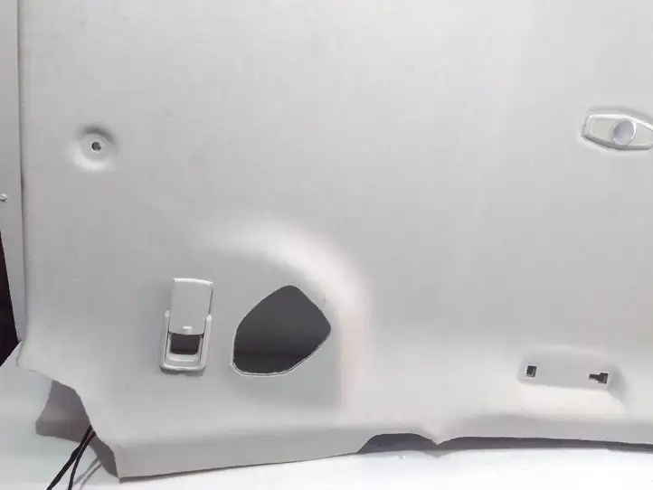 Ford C-MAX II (2015 - ) Потолочная обшивка — фото 5