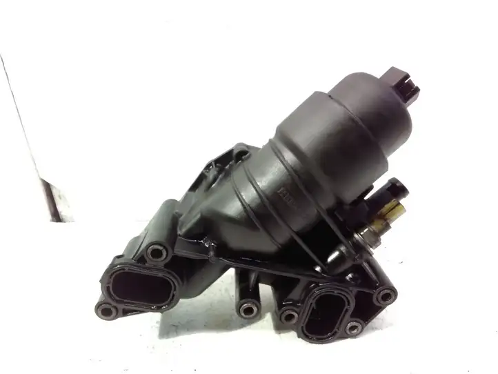 Nissan Qashqai (2010 - 2013) 152085948R Кронштейн масляного фильтра — фото 1