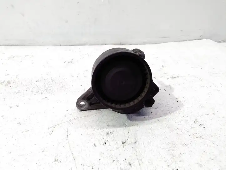 Nissan Qashqai (2010 - 2013) 117505337R Натяжитель ремня генератора — фото 1