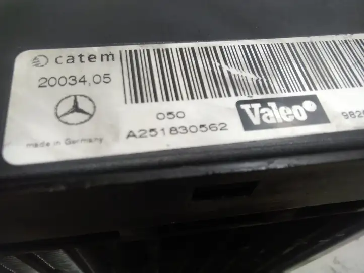 Mercedes-Benz R W251 (2005 - 2013) A251830562 Электрический отопитель салона — фото 2