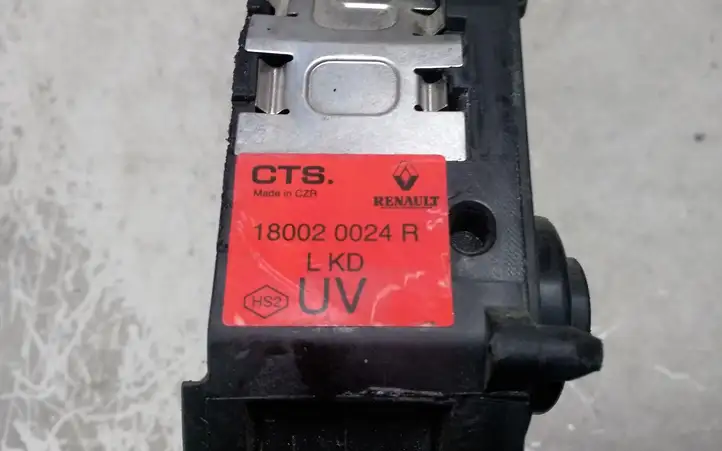 Renault Trafic III (X82) (2014 - ) 180020024R Педаль акселератора — фото 2