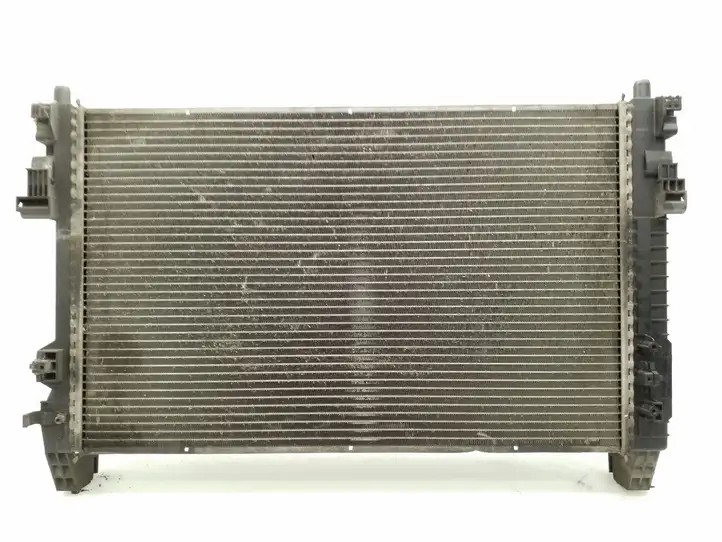 Mercedes-Benz A W169 (2004 - 2012) A1695001704 Радиатор охлаждающей жидкости двигателя — фото 1