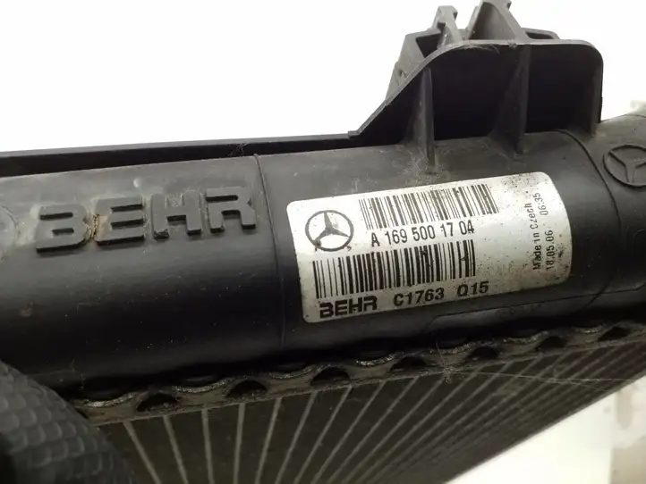 Mercedes-Benz A W169 (2004 - 2012) A1695001704 Радиатор охлаждающей жидкости двигателя — фото 2