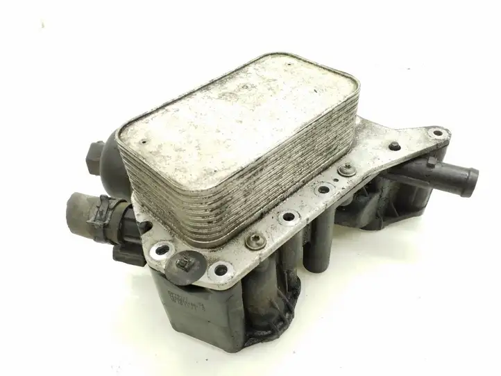 Nissan Qashqai (2010 - 2013) 152085948R Кронштейн масляного фильтра — фото 1