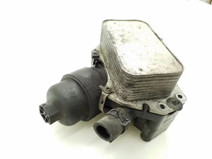 Nissan Qashqai (2010 - 2013) 152085948R Кронштейн масляного фильтра — фото 3