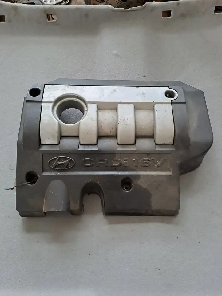Hyundai Santa Fe (2000 - 2005) 2924027101 Крышка двигателя декоративная — фото 1