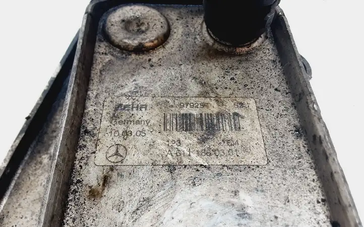 Mercedes-Benz Vito Viano W639 (2003 - 2010) A6111880301 Кронштейн масляного фильтра — фото 2