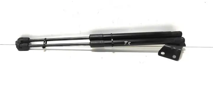 Chevrolet Captiva (2006 - 2011) 96830124 Газовый упор капота — фото 1