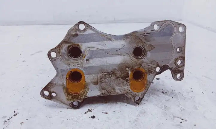 Audi A6 Allroad C6 (2006 - 2008) 059117021J Кронштейн масляного фильтра — фото 2