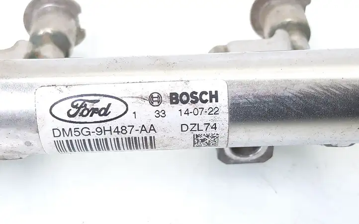 Ford Fiesta (2013 - 2017) DM5G9H487AA Магистральная топливная трубка — фото 2