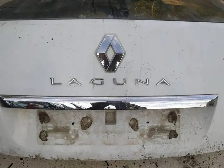 Renault Laguna III (2007 - 2015) Подсветка номера — фото 1