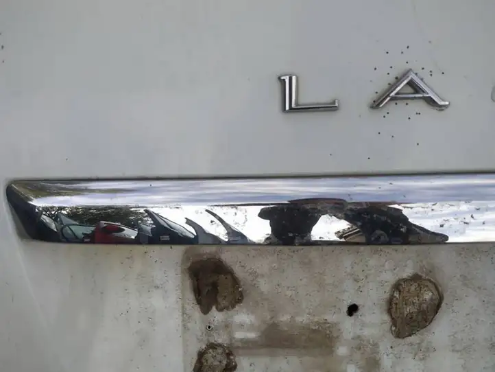 Renault Laguna III (2007 - 2015) Подсветка номера — фото 2