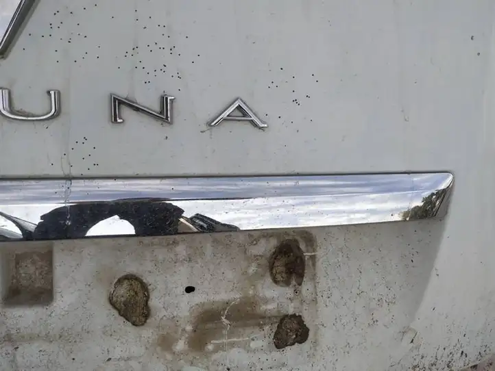 Renault Laguna III (2007 - 2015) Подсветка номера — фото 3