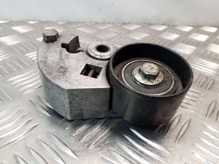 Hyundai Santa Fe (2000 - 2005)  2441027000 Устройство натяжки распределительного ремня / цепи