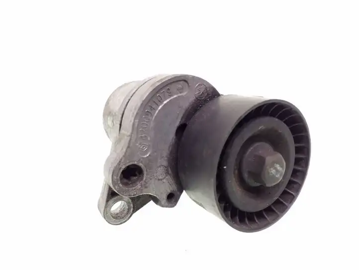 Renault Trafic II (X83) (2002 - 2014) 8200941079 Натяжитель ремня — фото 4