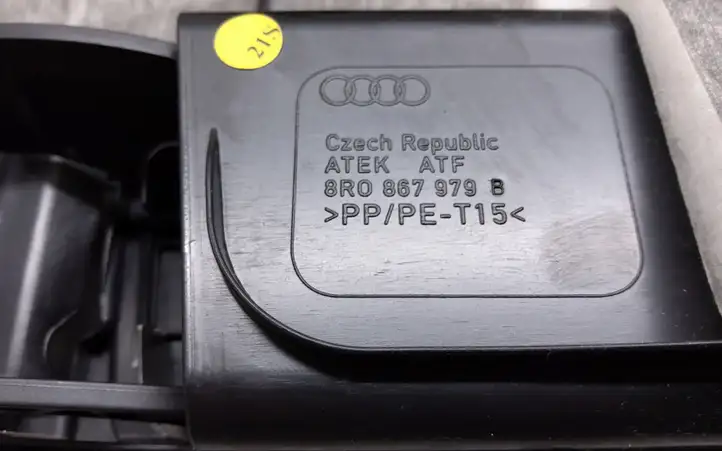 Audi Q5 SQ5 (2008 - 2012) 8R0867979B Основной отделочный щит — фото 2