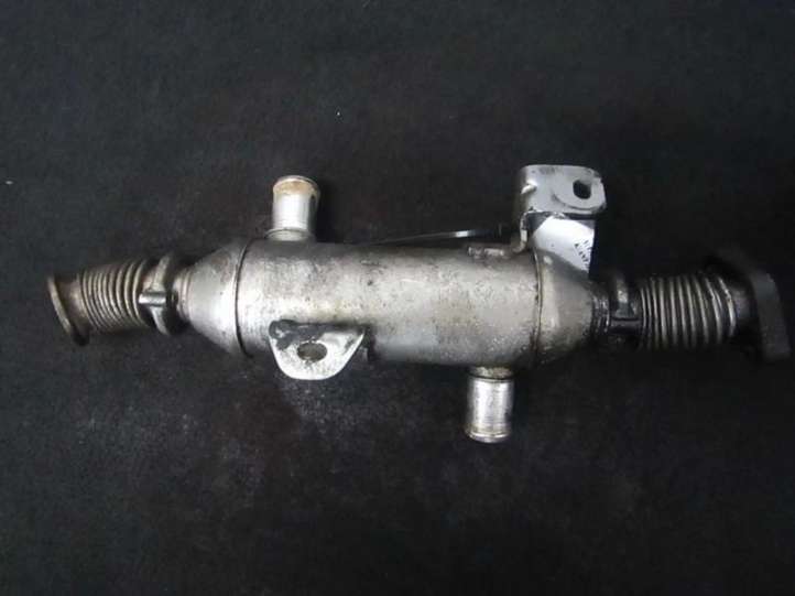 Peugeot 307 (2001 - 2005)  9639874380 Охладитель EGR