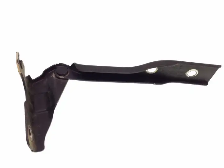 Volkswagen Polo V 6R (2009 - 2015) 6R0823301A Петли капота — фото 2