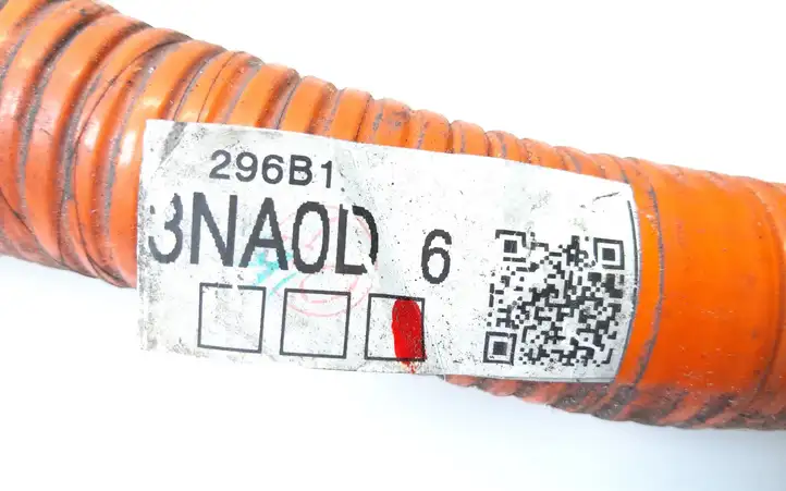 Nissan Leaf I (ZE0) (2010 - 2017) 296B13NA0D Зарядный разъем электромобиля — фото 4