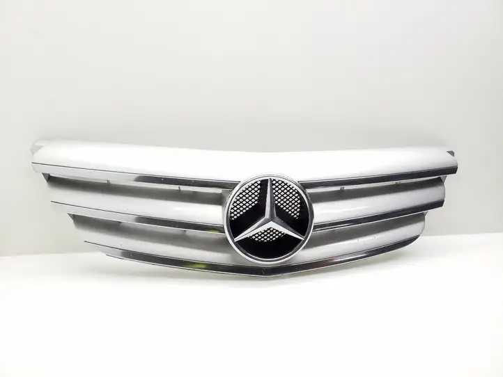 Mercedes-Benz A W169 (2004 - 2012) A1698800883 Верхняя решетка радиатора — фото 1