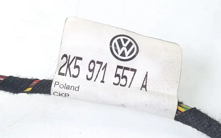 Volkswagen Caddy (2010 - 2015) 2K5971557A Проводка передней двери — фото 2