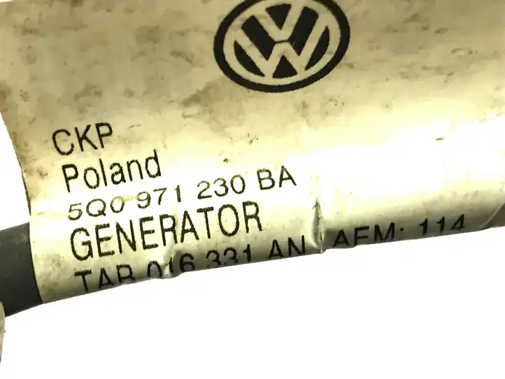 Skoda Octavia Mk3 (5E) (2013 - 2019) 5Q0971230BA Проводка генератора — фото 3