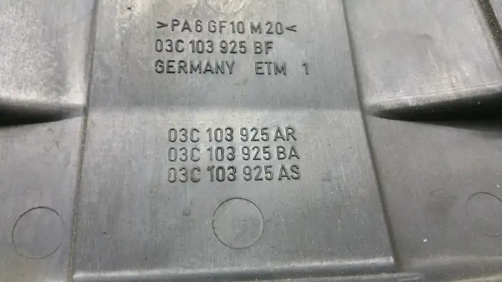Volkswagen Tiguan (2007 - 2011) 03C103925 Крышка двигателя декоративная — фото 4