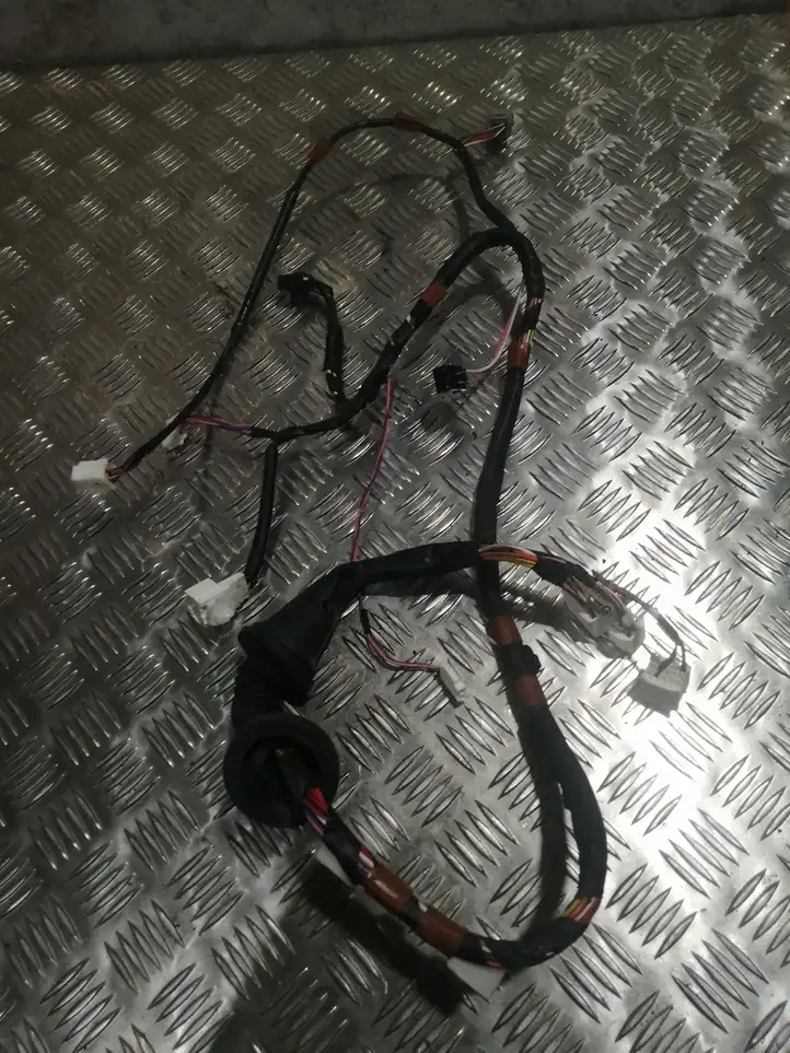 Toyota RAV 4 (XA30) (2006 - 2016) 8215242820D Проводка передней двери — фото 1