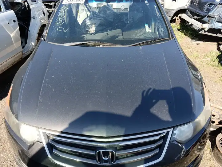 Honda Accord (2008 - 2016) Капот — фото 1