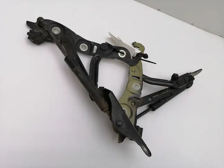 Volvo S60 (2000 - 2004) 8650233 Комплект петель багажной двери — фото 5