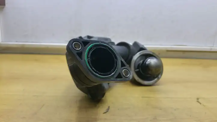 Volvo S60 (2010 - 2013) 30774691 Резонатор впуска — фото 3
