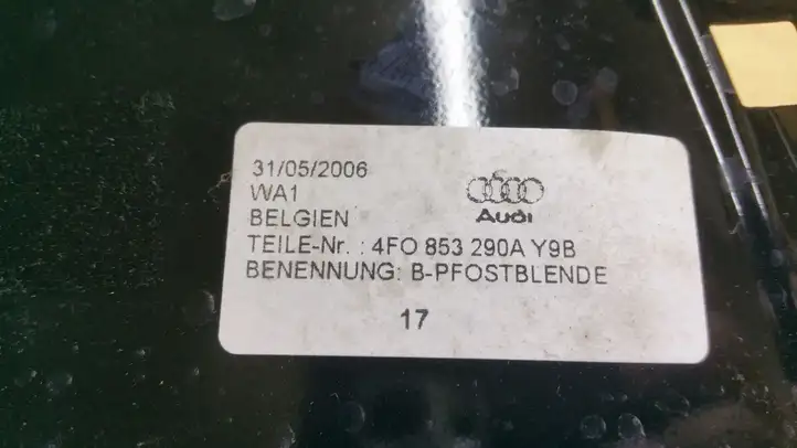 Audi A6 S6 C6 4F (2004 - 2008) 4F0853290A Накладка порога — фото 5
