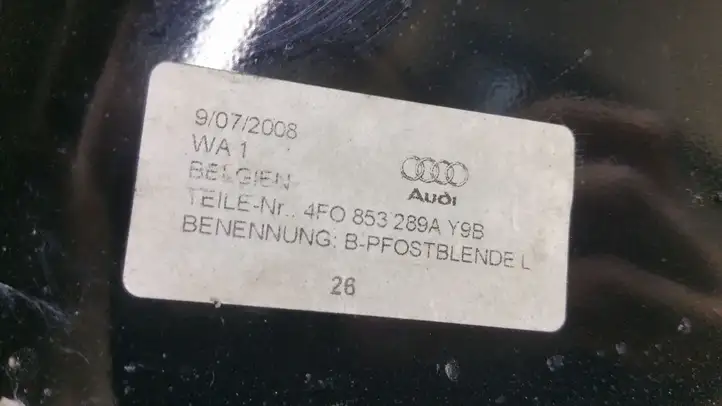 Audi A6 Allroad C6 (2006 - 2008) 4F0853289A Накладка порога — фото 2