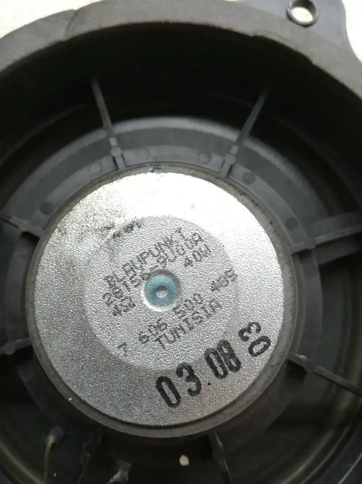 Nissan Qashqai (2006 - 2010) 281569U00A Динамики передних дверей — фото 4