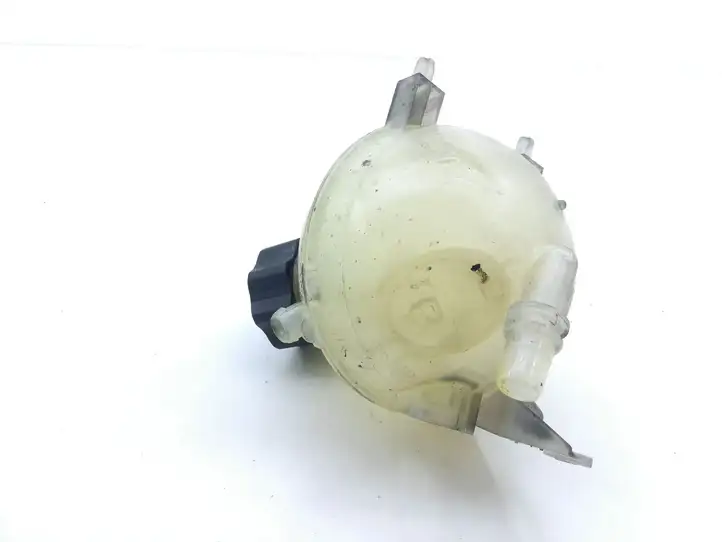 Citroen C4 I Picasso (2006 - 2013) 9684527680 Расширительный бачок — фото 2