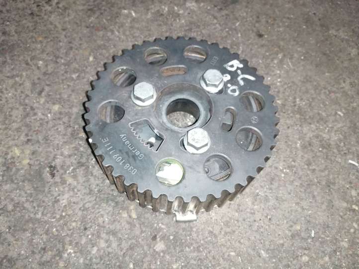 Volkswagen PASSAT B6 (2005 - 2010)  03G109239B Шкив распределительного вала / ванус