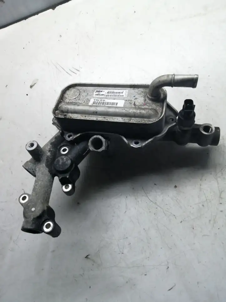 Toyota Corolla Verso AR10 (2004 - 2009) 157100R01000 Кронштейн масляного фильтра — фото 1