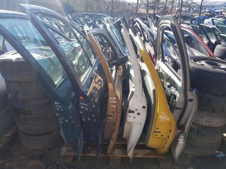 Renault Scenic I Priekinės durys