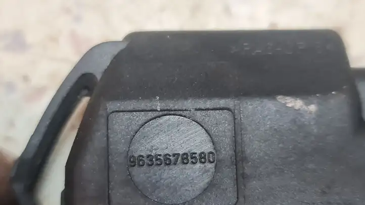 Citroen Xsara Picasso (1999 - 2012) 9635678580 Подсветка номера — фото 3