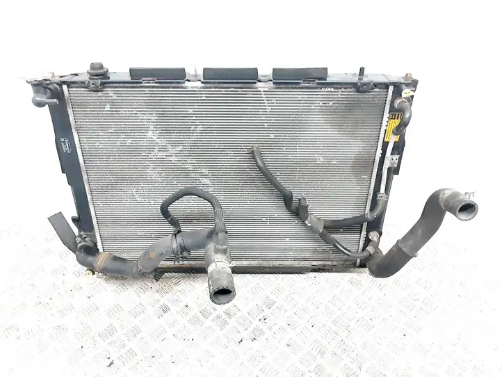Lexus RX 330 - 350 - 400H (2008 - 2012) Радиатор охлаждающей жидкости двигателя — фото 1