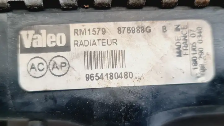Peugeot 307 (2005 - 2008) 9654180480 Радиатор охлаждающей жидкости двигателя — фото 3