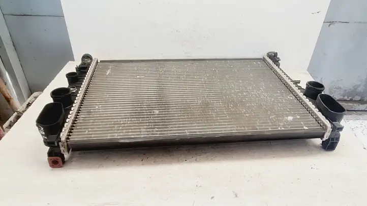 Mercedes-Benz E W211 (2002 - 2009) 2115000102 Радиатор охлаждающей жидкости двигателя — фото 3