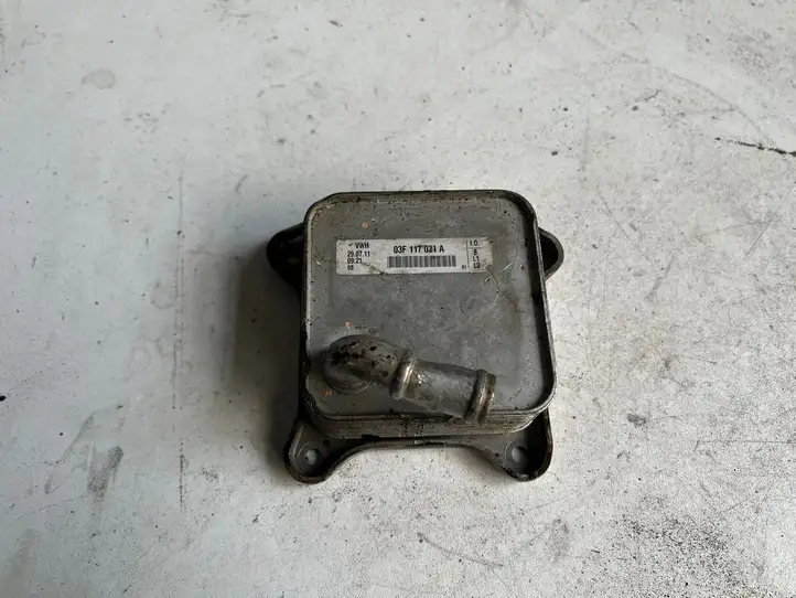 Seat Leon (1P) (2005 - 2012) 03F117021A Кронштейн масляного фильтра — фото 1