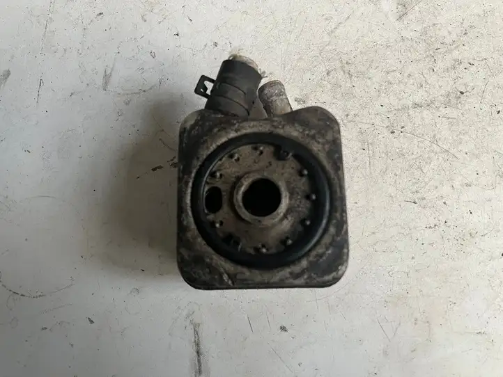 Audi A3/S3 8L (1996 - 2000) 028117021B Кронштейн масляного фильтра — фото 1