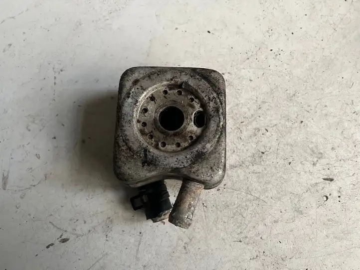 Audi A3/S3 8L (1996 - 2000) 028117021B Кронштейн масляного фильтра — фото 3